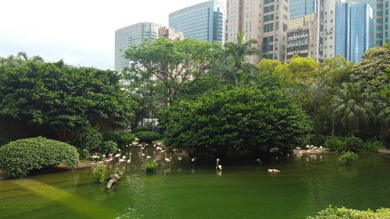 Kowloon Parkı